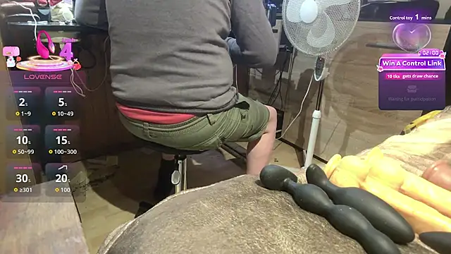 Show webcam de misteryman1956