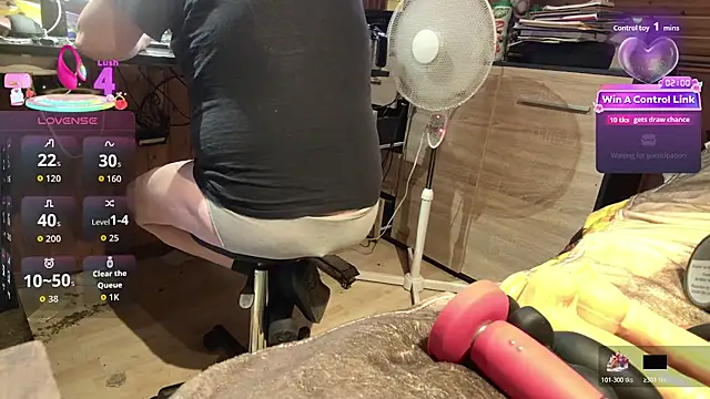 Show Webcam de misteryman1956