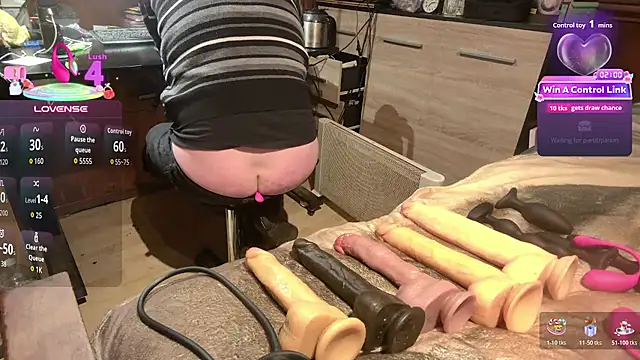 Show webcam de misteryman1956