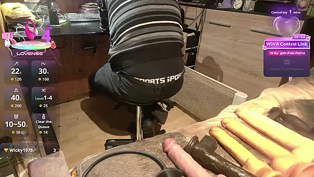 Show webcam de misteryman1956