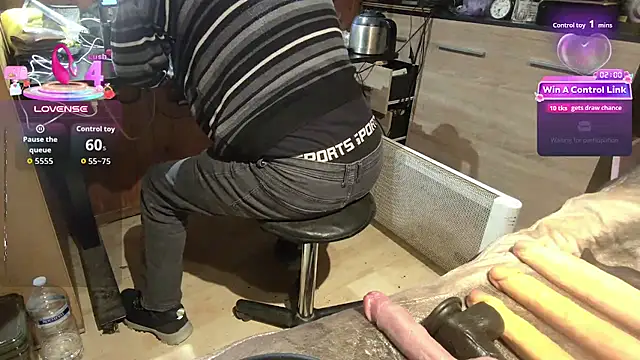 Show webcam de misteryman1956