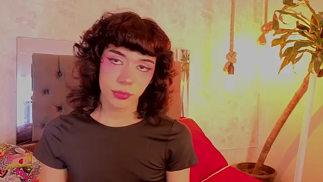 pixy_20 Show in webcam