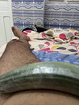 عرض كام arabichoney