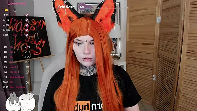 Show Webcam de mekurisu