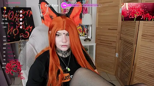 Show modela mekurisu na web-kameri