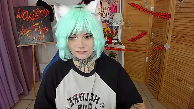 Show webcam de mekurisu