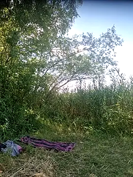 Show webcam de ak616263