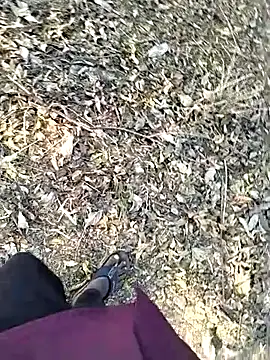 jellydicks: вебкам-шоу