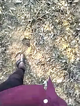 jellydicks Webcam-Show