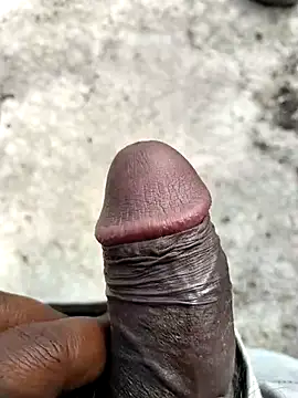 jellydicks Webcam show