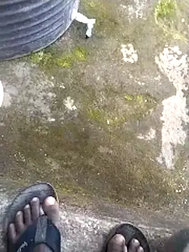 Show de webcam de jellydicks