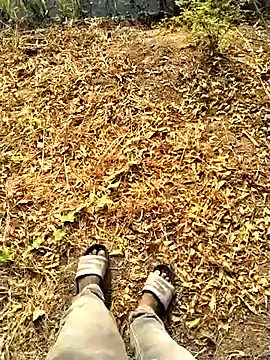 jellydicks Webcam-Show