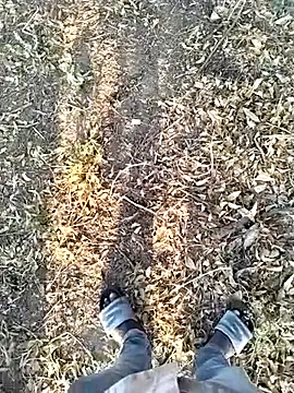 Webkamerová show jellydicks