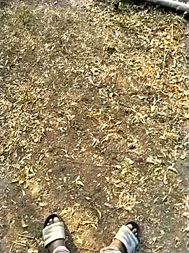 Pokazy przed kamerką – jellydicks