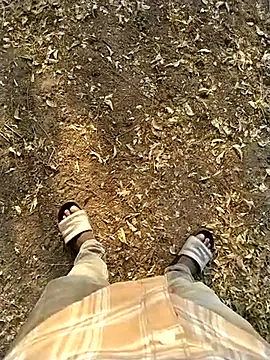 jellydicks' Webcam Show