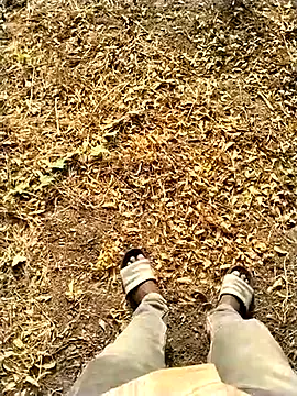 jellydicks ওয়েবক্যাম শো