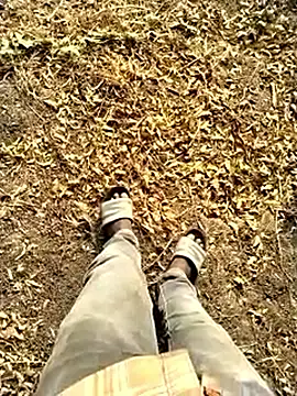 Вебкам-шоу jellydicks