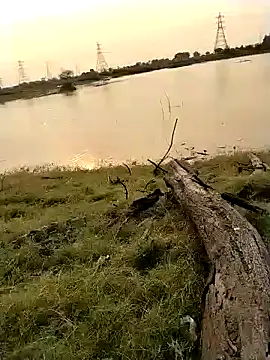 jellydicks' Webcam Show