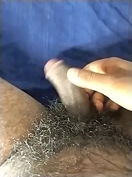 jellydicks – webcam-show