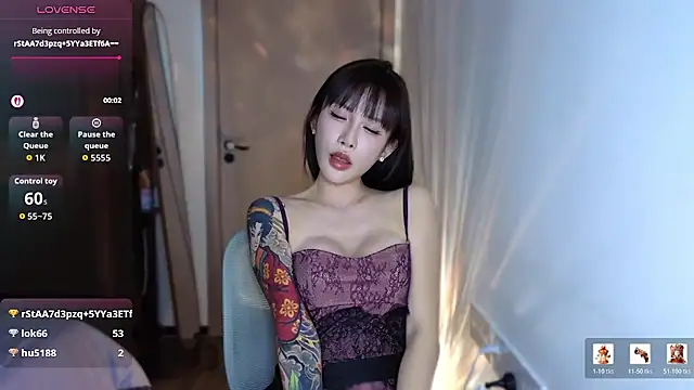 You-ok2 Show Webcam