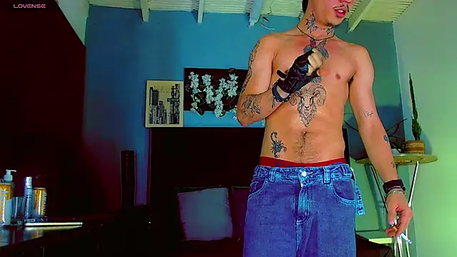 Show webcam de HannibalLester