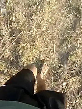 Forest_lover24 webkamerás műsora