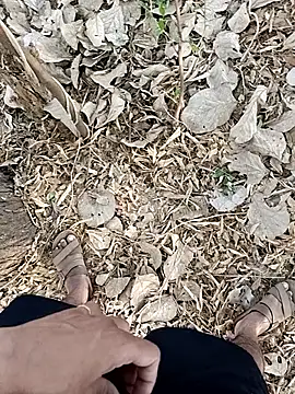 Forest_lover24 webkamerás műsora