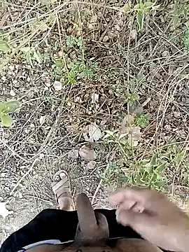 Show webcam de Forest_lover24