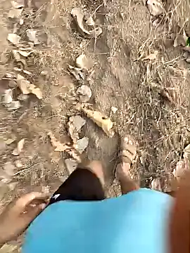 Forest_lover24 Pertunjukan Webcam
