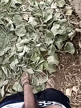 Forest_lover24 Pertunjukan Webcam