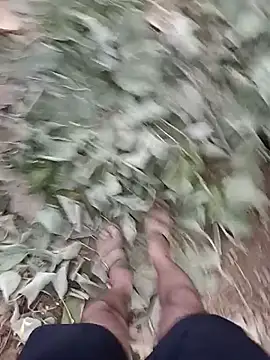 Forest_lover24 webcam show
