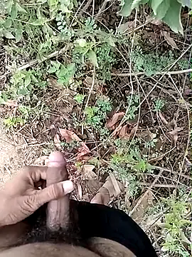Forest_lover24 网络视讯表演