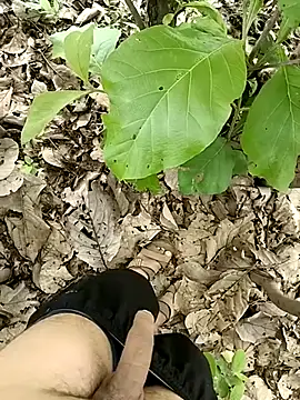 Forest_lover24 网络视讯表演