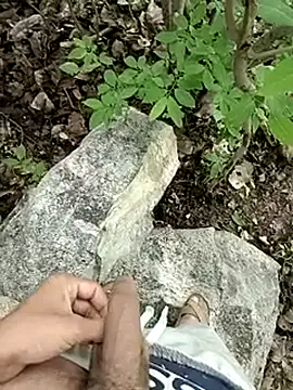 Forest_lover24n Webbikameraesitys