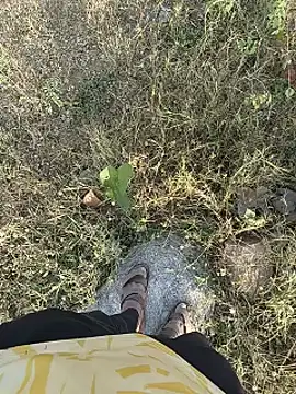 Forest_lover24 网络视讯表演