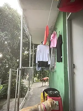 โชว์เว็บแคมของ JE1999_28