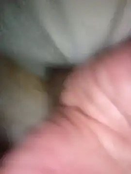 عرض كام Haxorhex