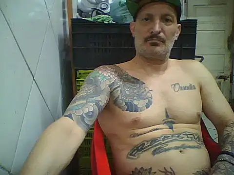 Show de webcam de rolesexy