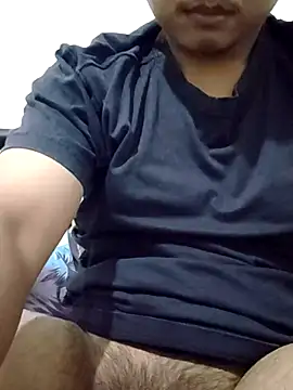 Virzcov 网络视讯表演