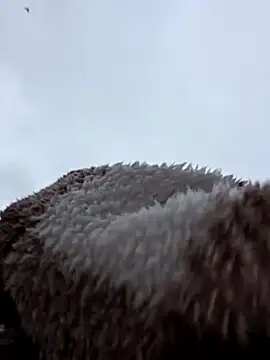 Tallulah-rose-x webkamerás műsora