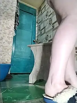 Holly-69n Webbikameraesitys