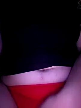 Show de Laurencraft na webcam