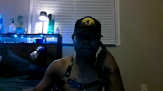 Show de PETER-RABIT na webcam