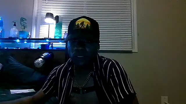 Show webcam de PETER-RABIT