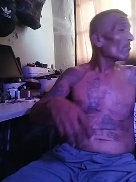 Vergonzoso6 Show in webcam