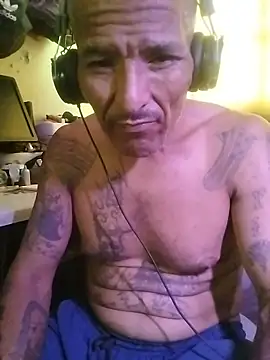 Vergonzoso6 webcam show