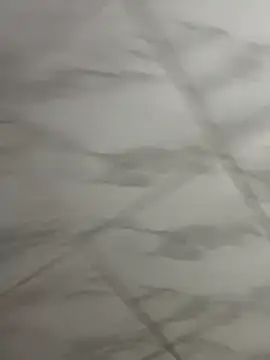 הופעת וובקאם של E_Himeros