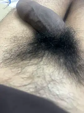 Junglii_Billi Pertunjukan Webcam