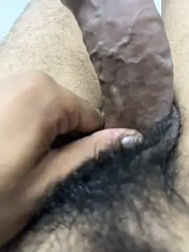 عرض كام Junglii_Billi