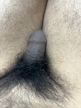 Junglii_Billi Pertunjukan Webcam